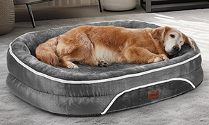Orthopedic Dog Bed for Large Dogs